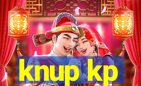 knup kp-t89 driver